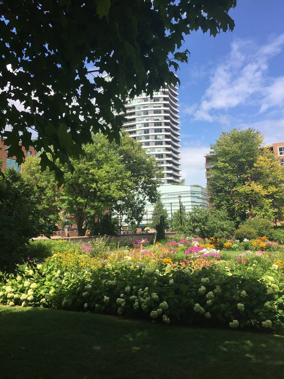 Maplelawn Garden