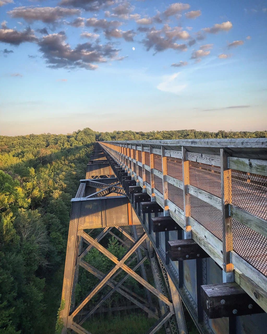More than 2,400 feet long, rising 125 feet above the Appomattox River, the majestic High Bridge is the longest recreational bridge in Virginia and among the longest in the nation. Built in 1853, the bridge is now the centerpiece of High Bridge Trail State Park. The bridge is also a Virginia Historic Landmark and on the National Register of Historic Places.