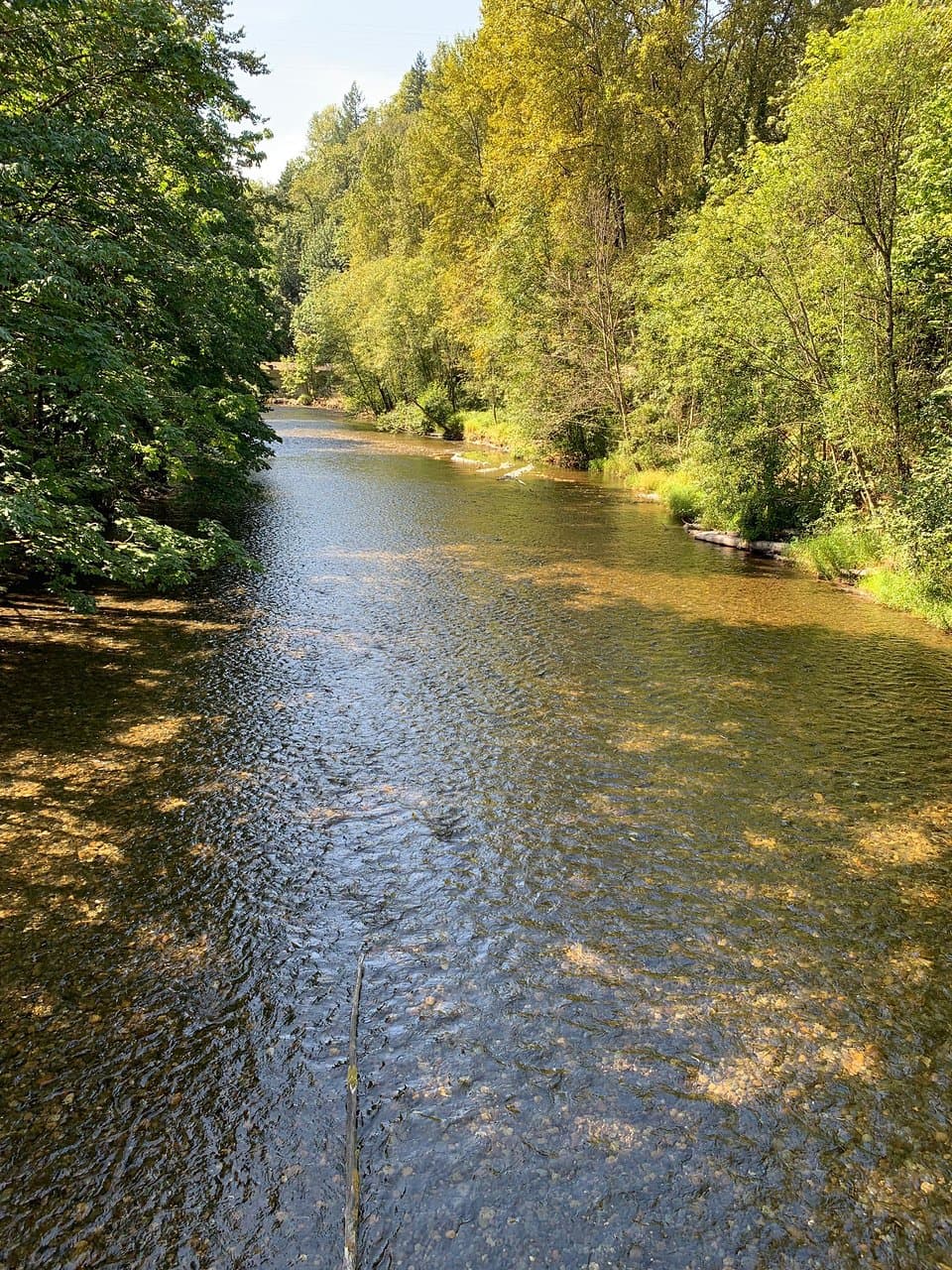 Riverview Park