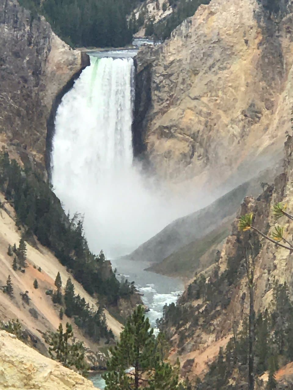 Jackson Hole & Greater Yellowstone Visitor Center