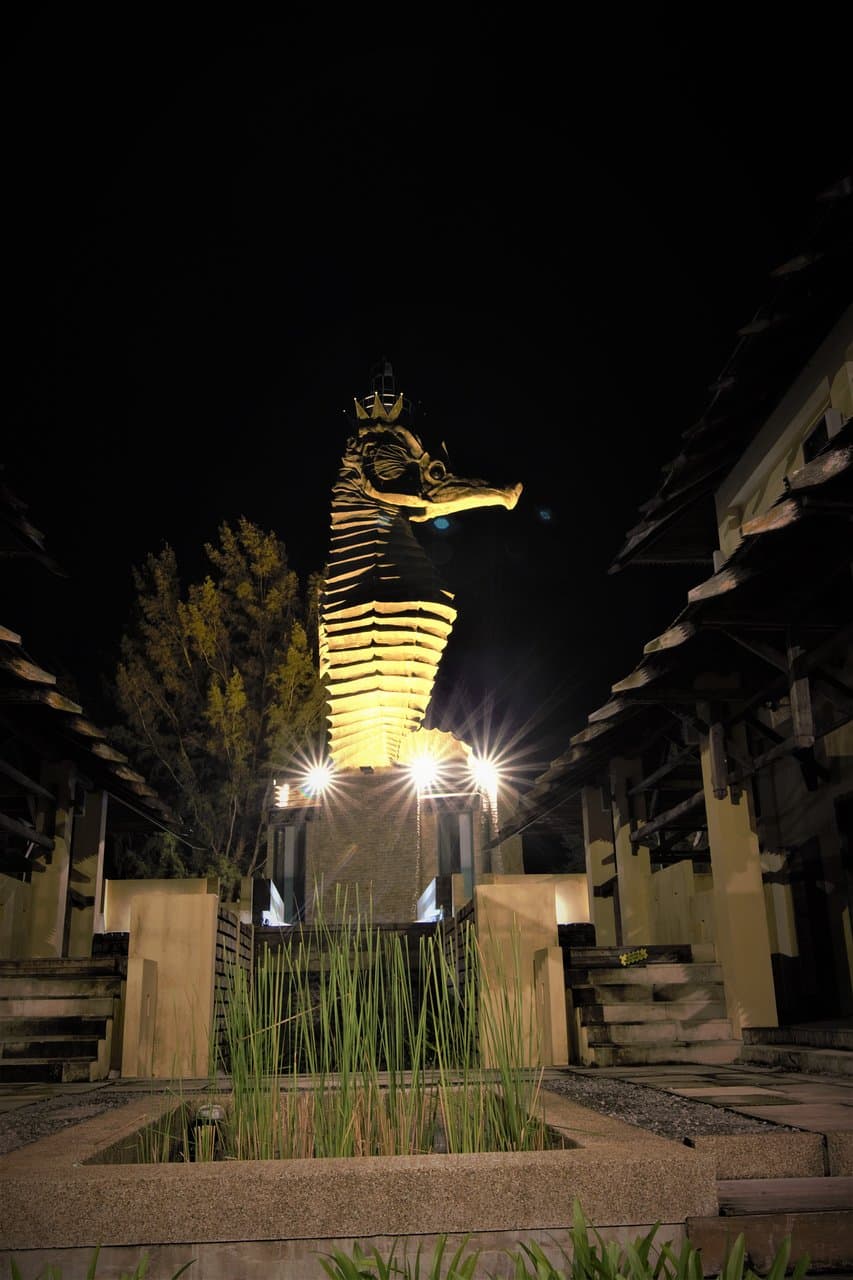 Sea Horse at Coco cabana