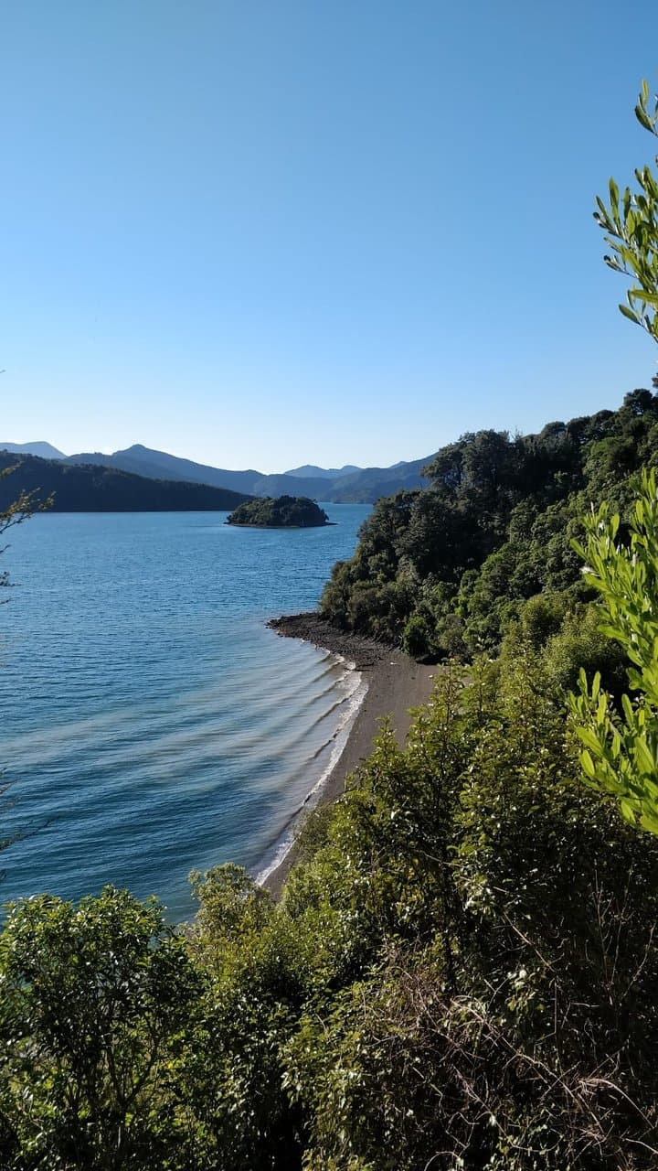 Bob's beach