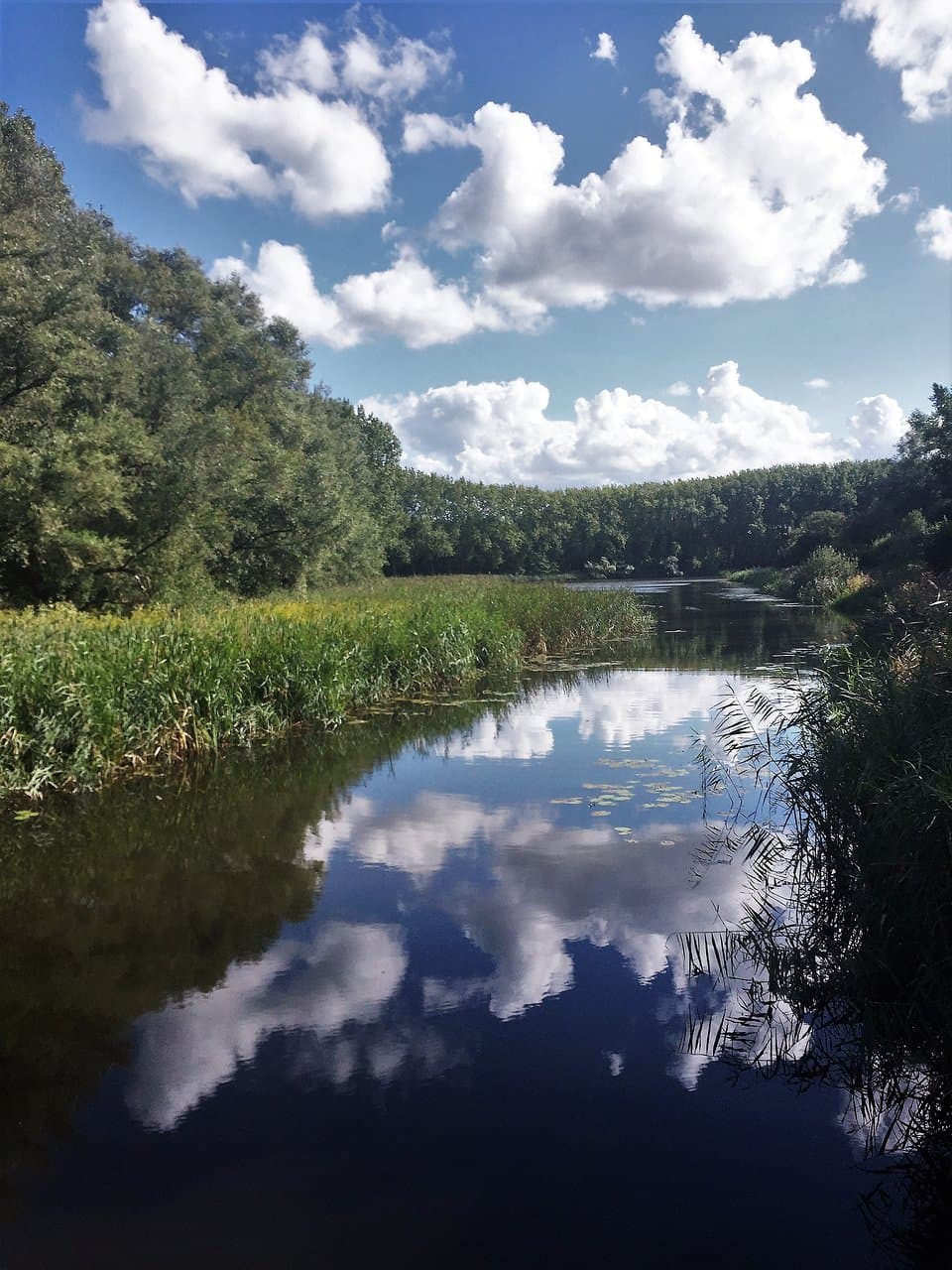 2.  Biesbosch De Elzen, Dordrecht