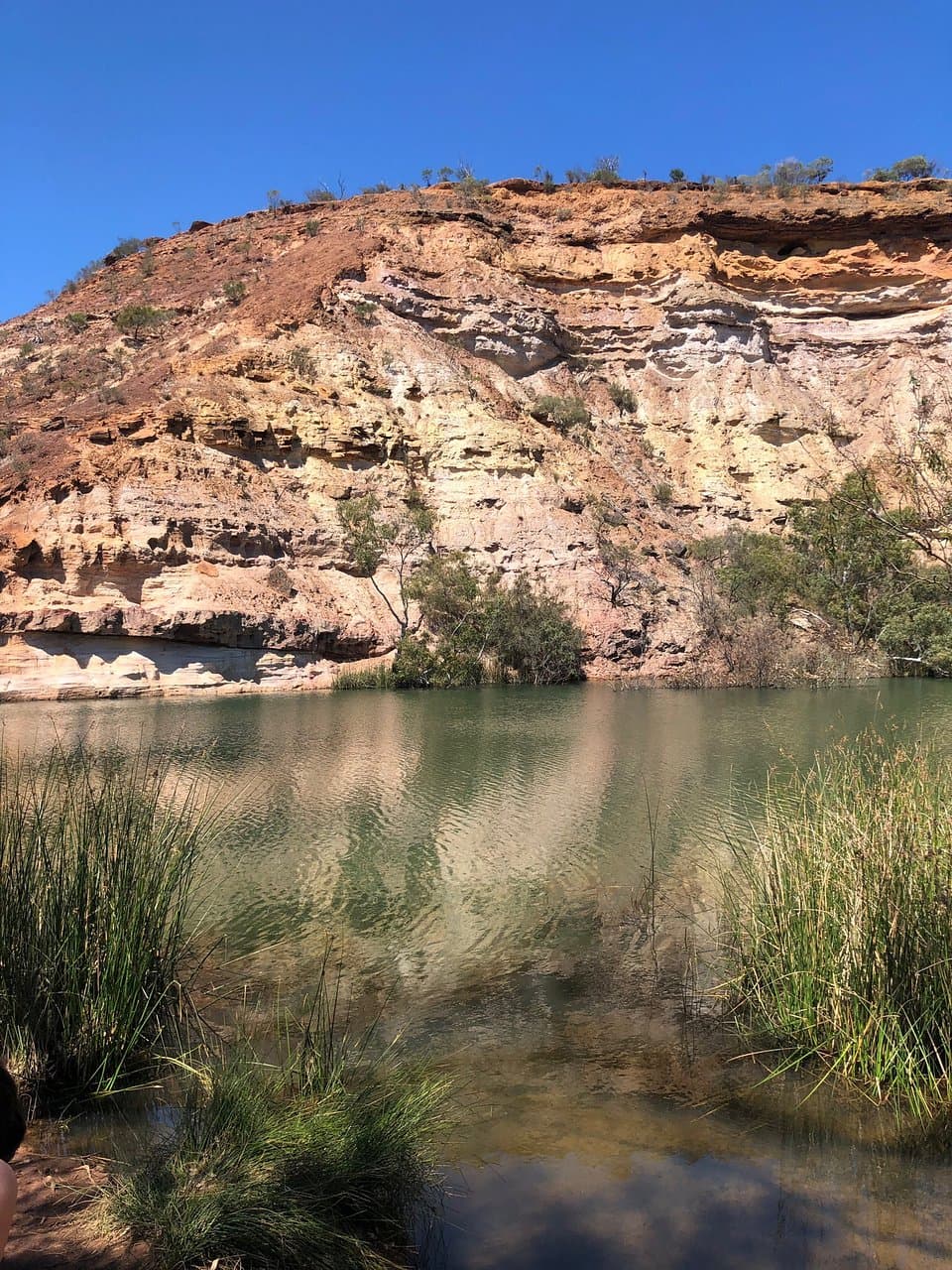 Ellendale Pool
