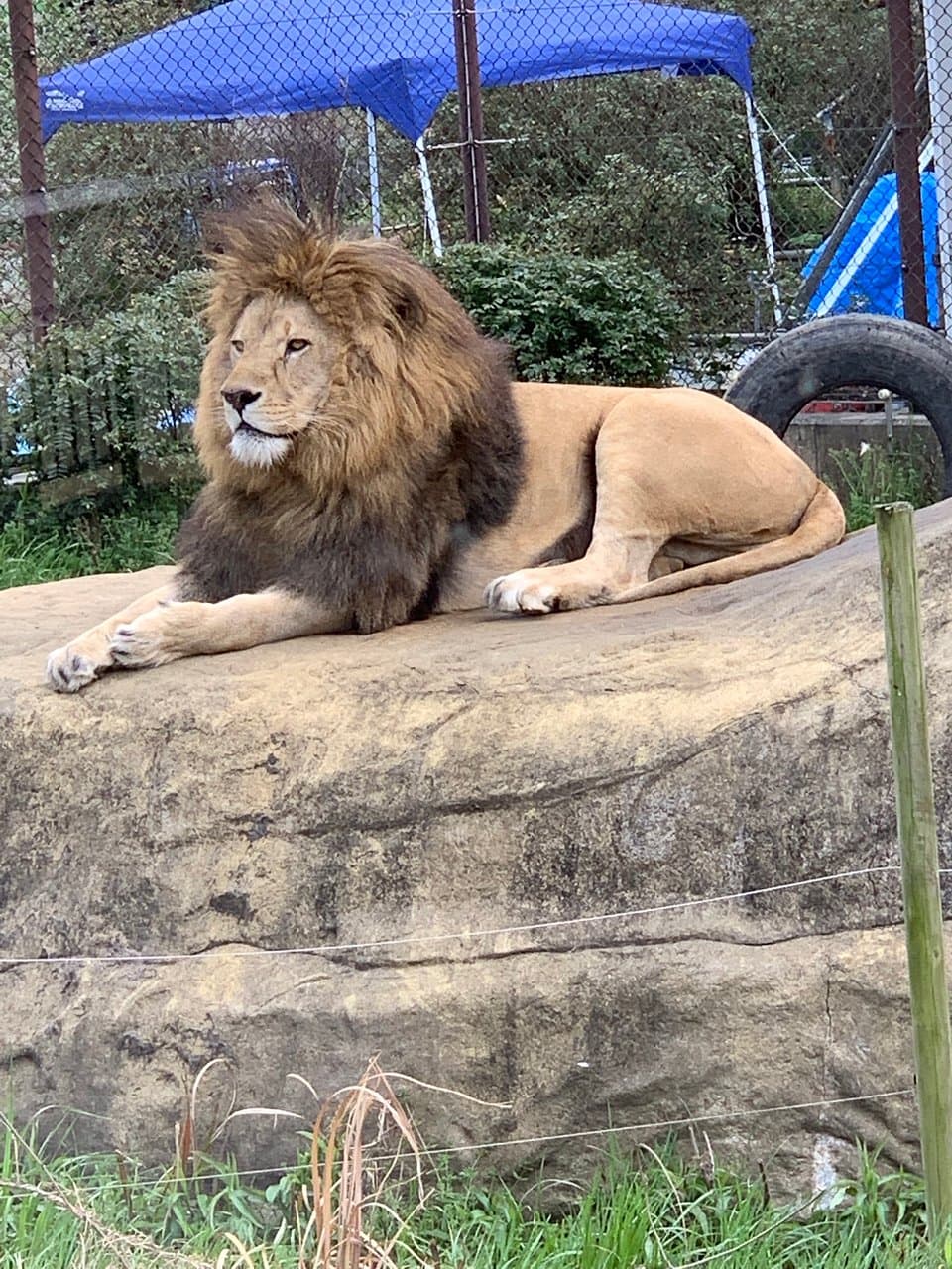徳島動物園