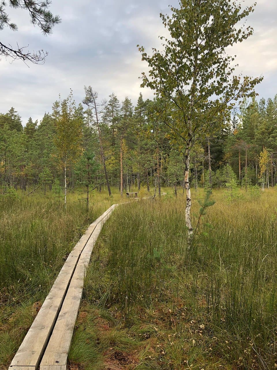 Valkmusa National Park