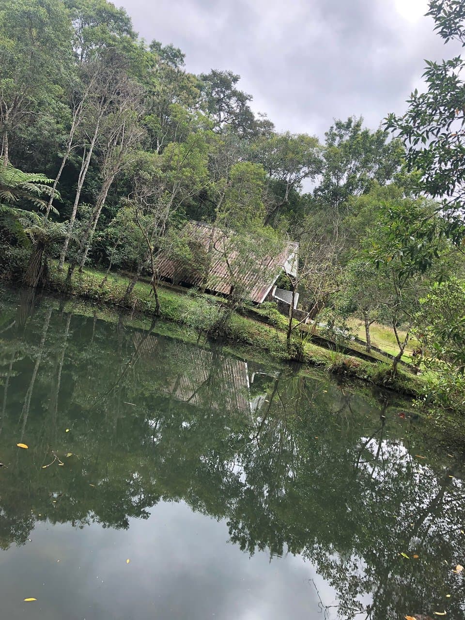 Parque Natural Municipal Francisco Affonso de Mello