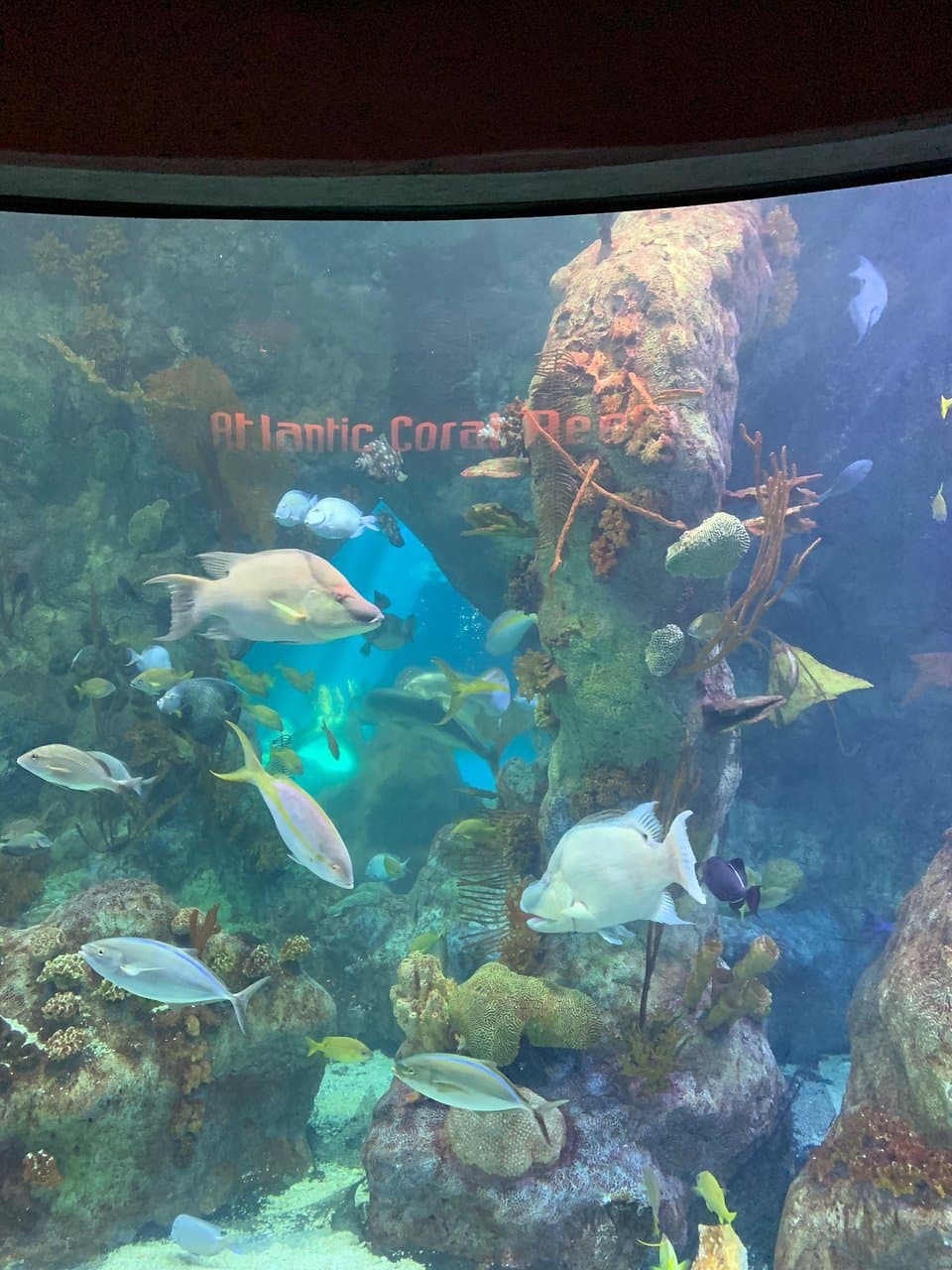 ABQ BioPark Aquarium Albuquerque