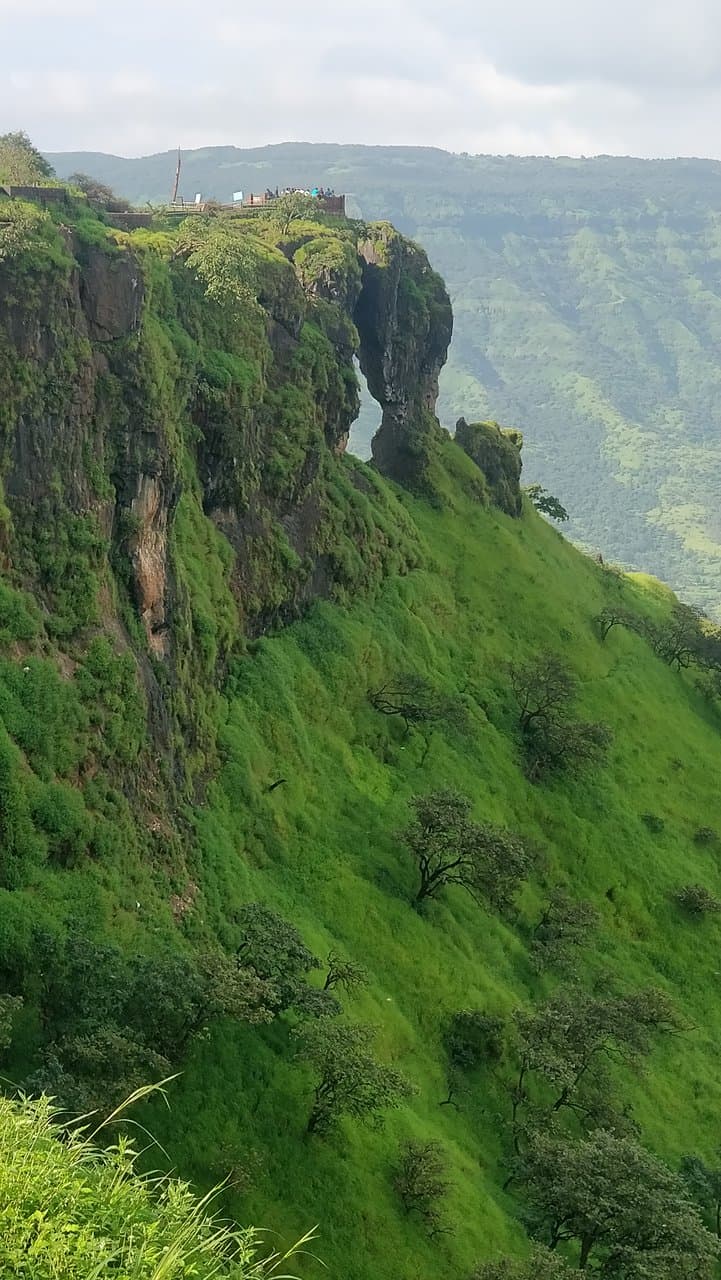 Needle Hole Point Elephant's Head