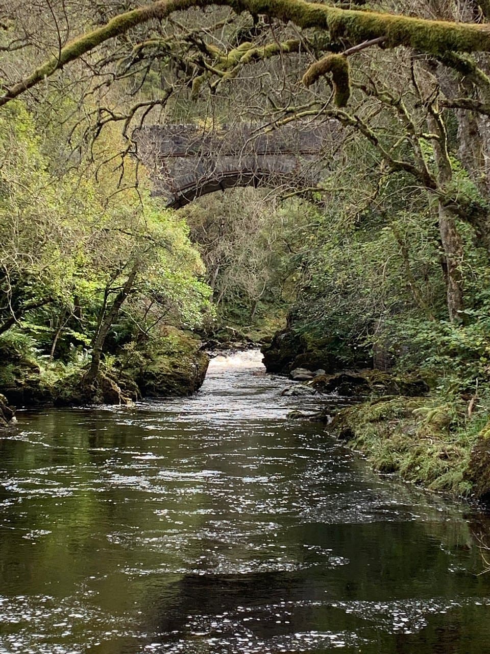 Corbenic Poetry Path