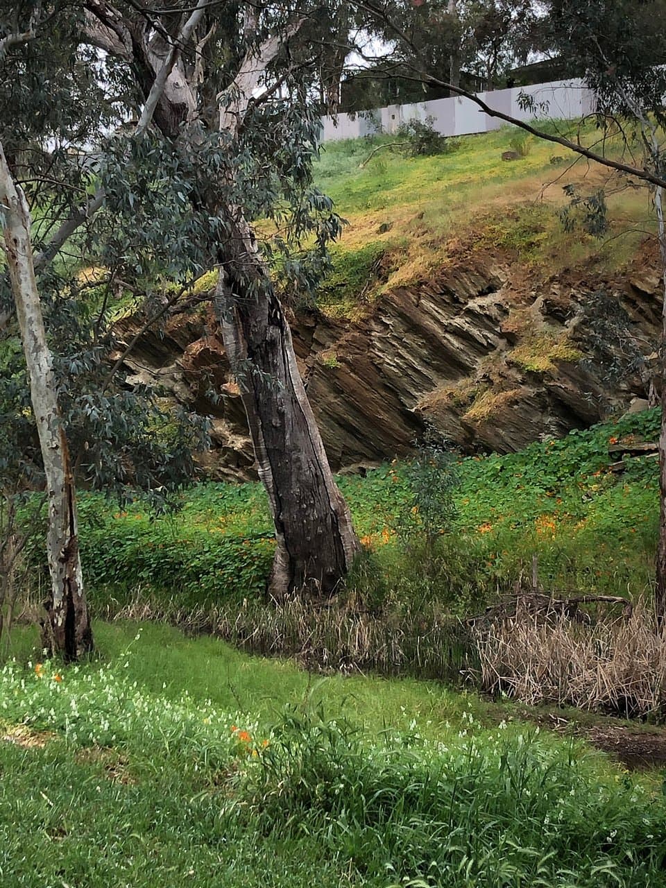 Dead Mans Pass Reserve