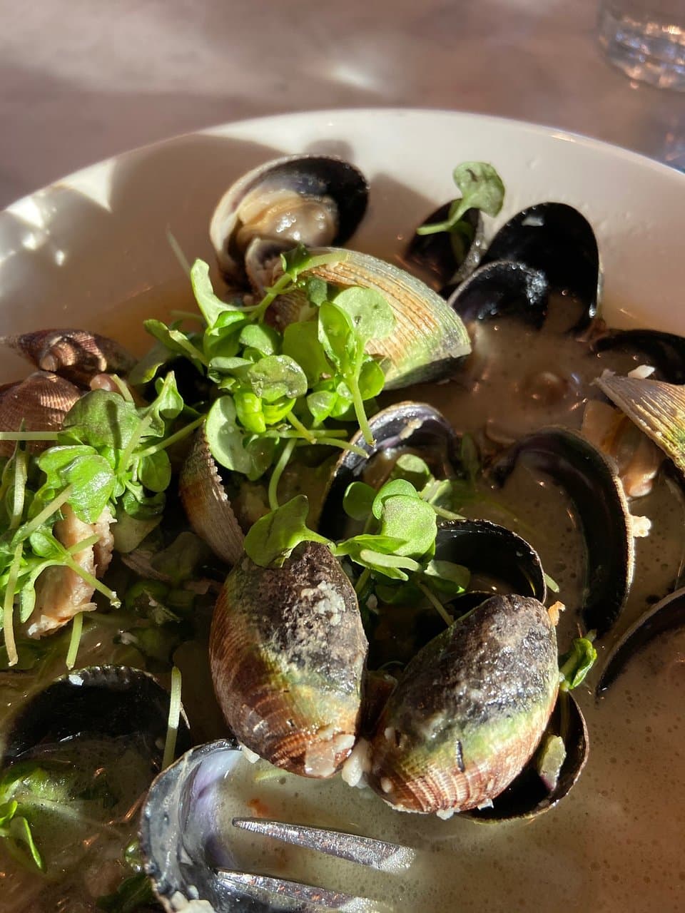 Cockles, clams and homemade sausage in a tasty light sauce....herbs atop.