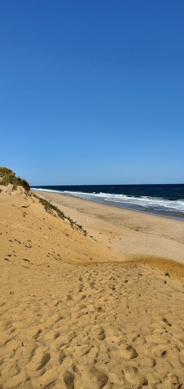 Down the dunes to the beach