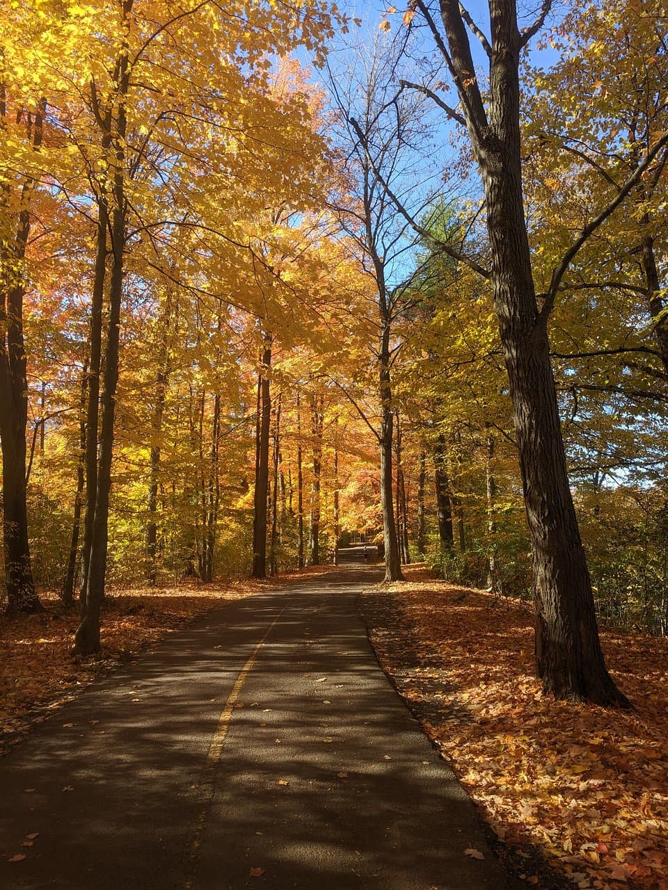 Vincent Massey Park Ottawa