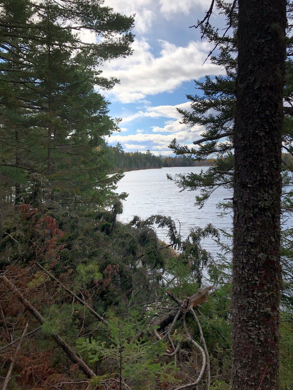 Killarney Lake Park
