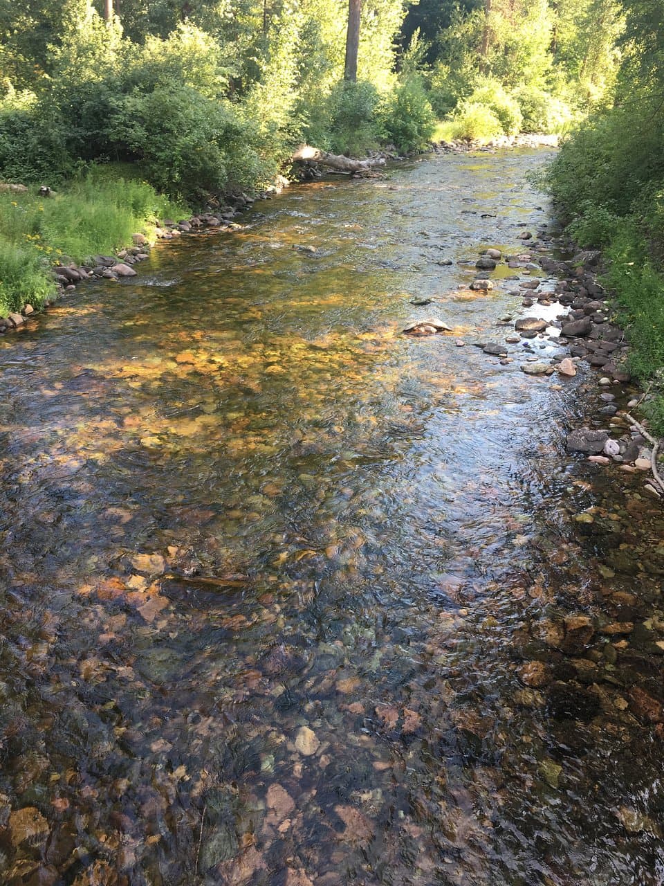 Rattlesnake Creek in Greenough Park