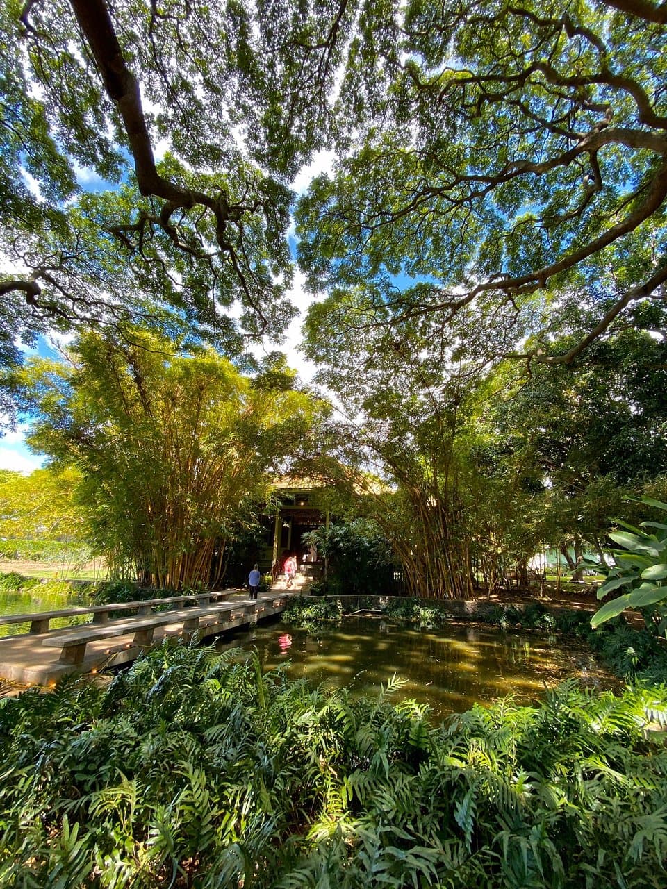 Moanalua Gardens Honolulu