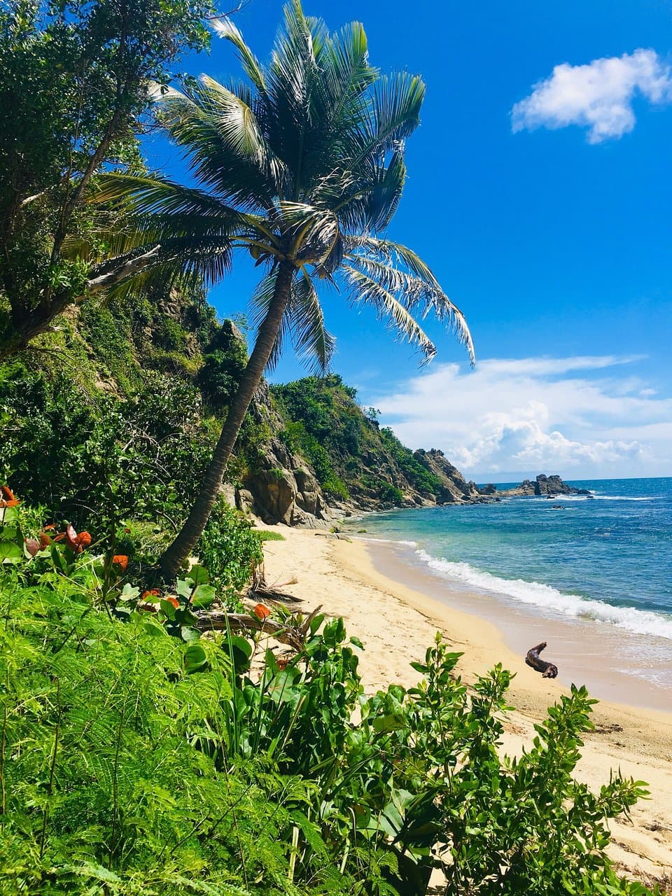 Parque Punta Yeguas