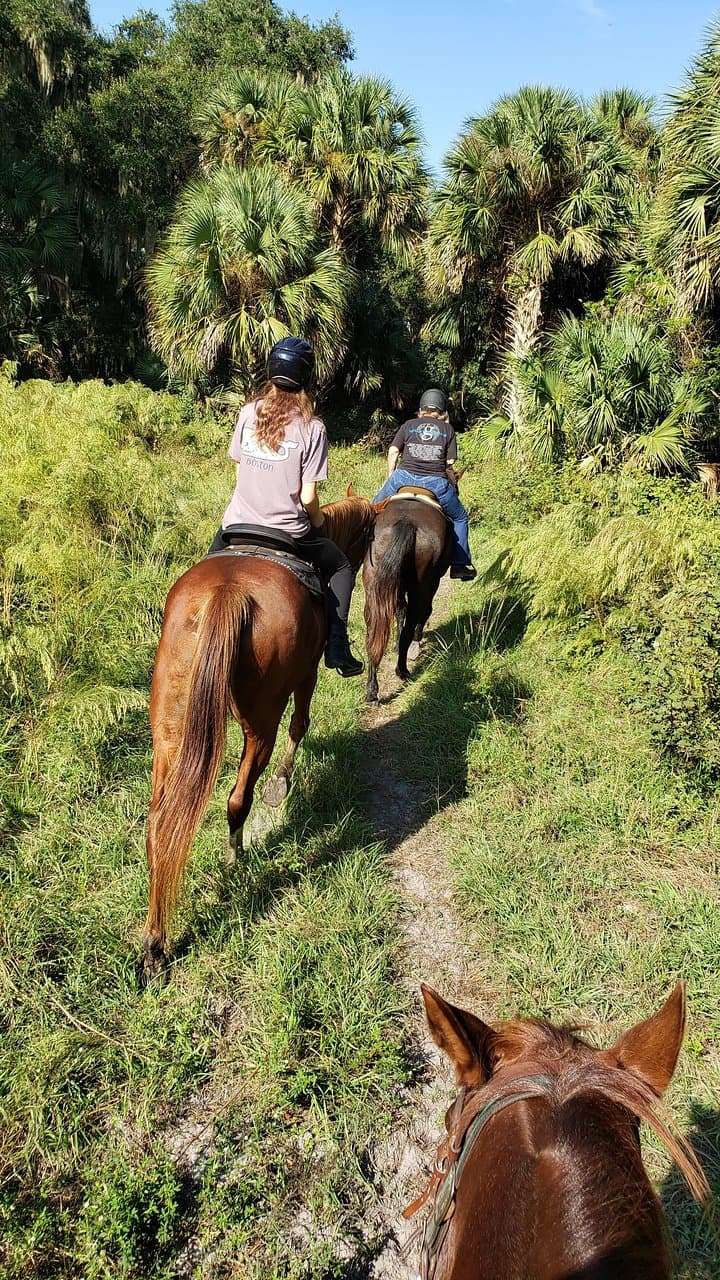 Riding thru the natural beauty of Florida.