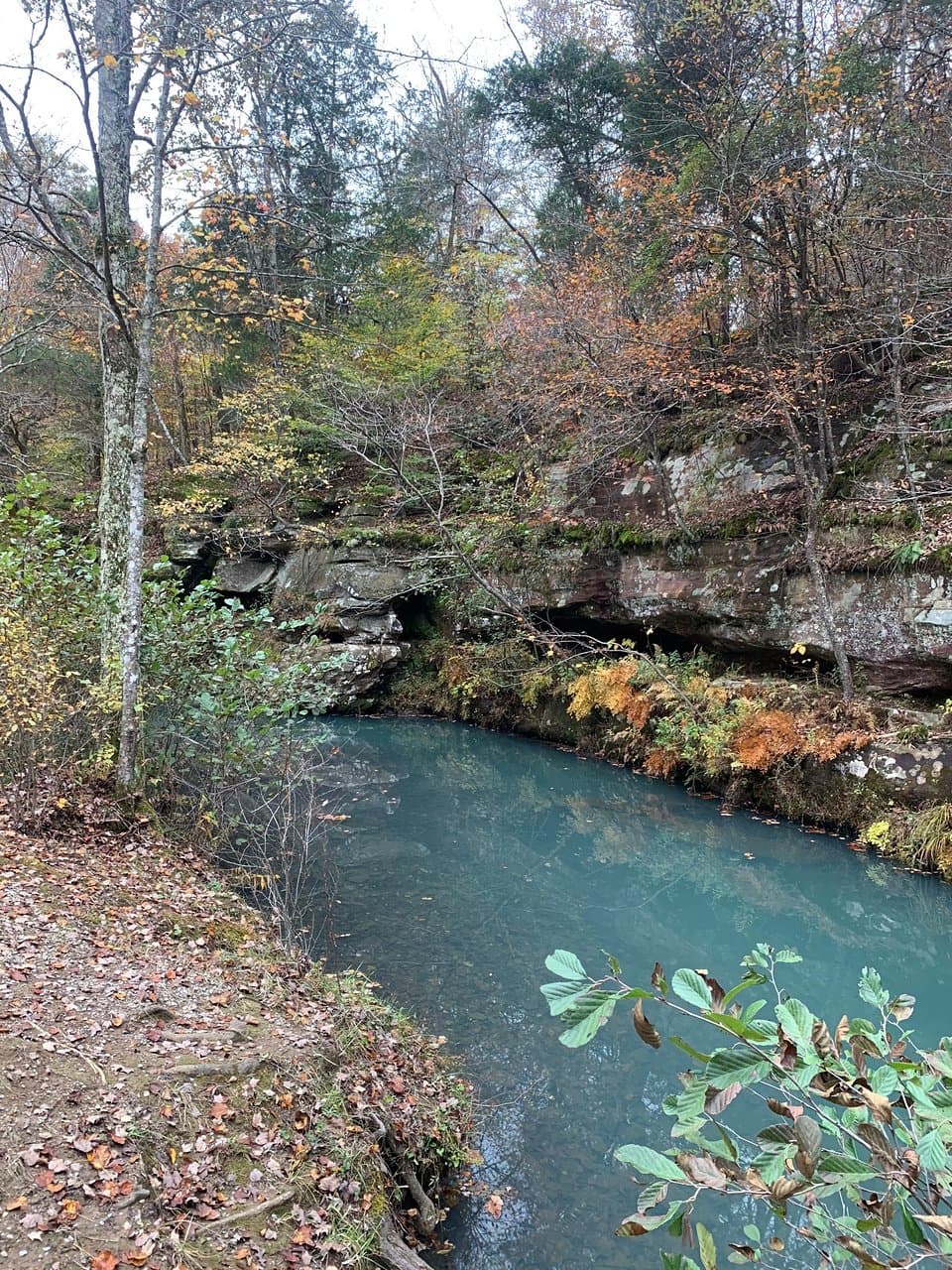 Bell Smith Springs