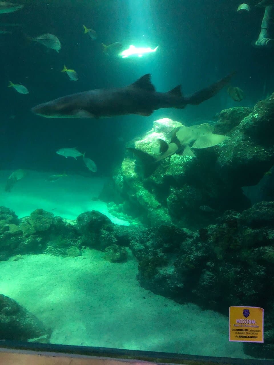 Sea Life Oberhausen