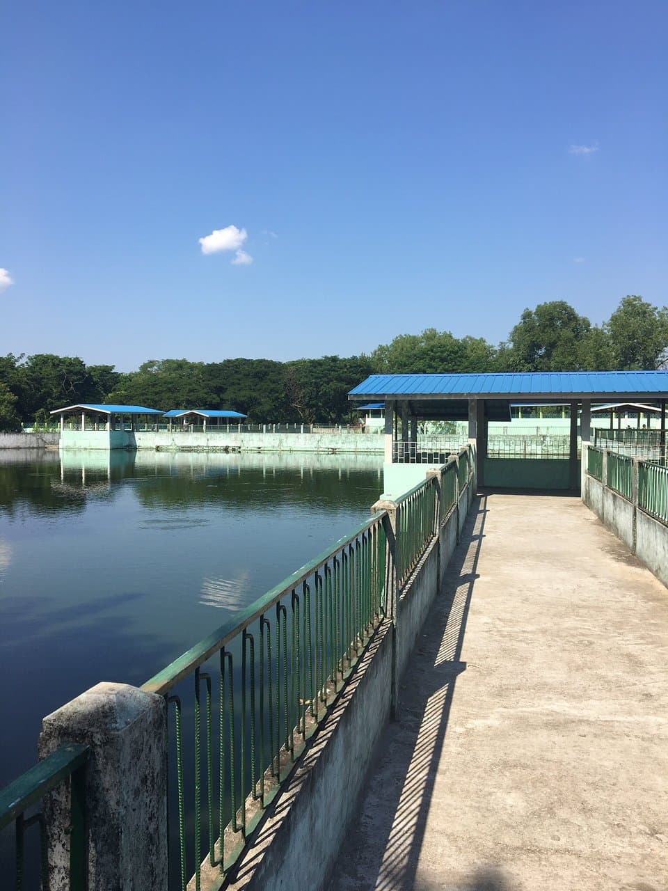 Thaketa Crocodile Farm & Zoo