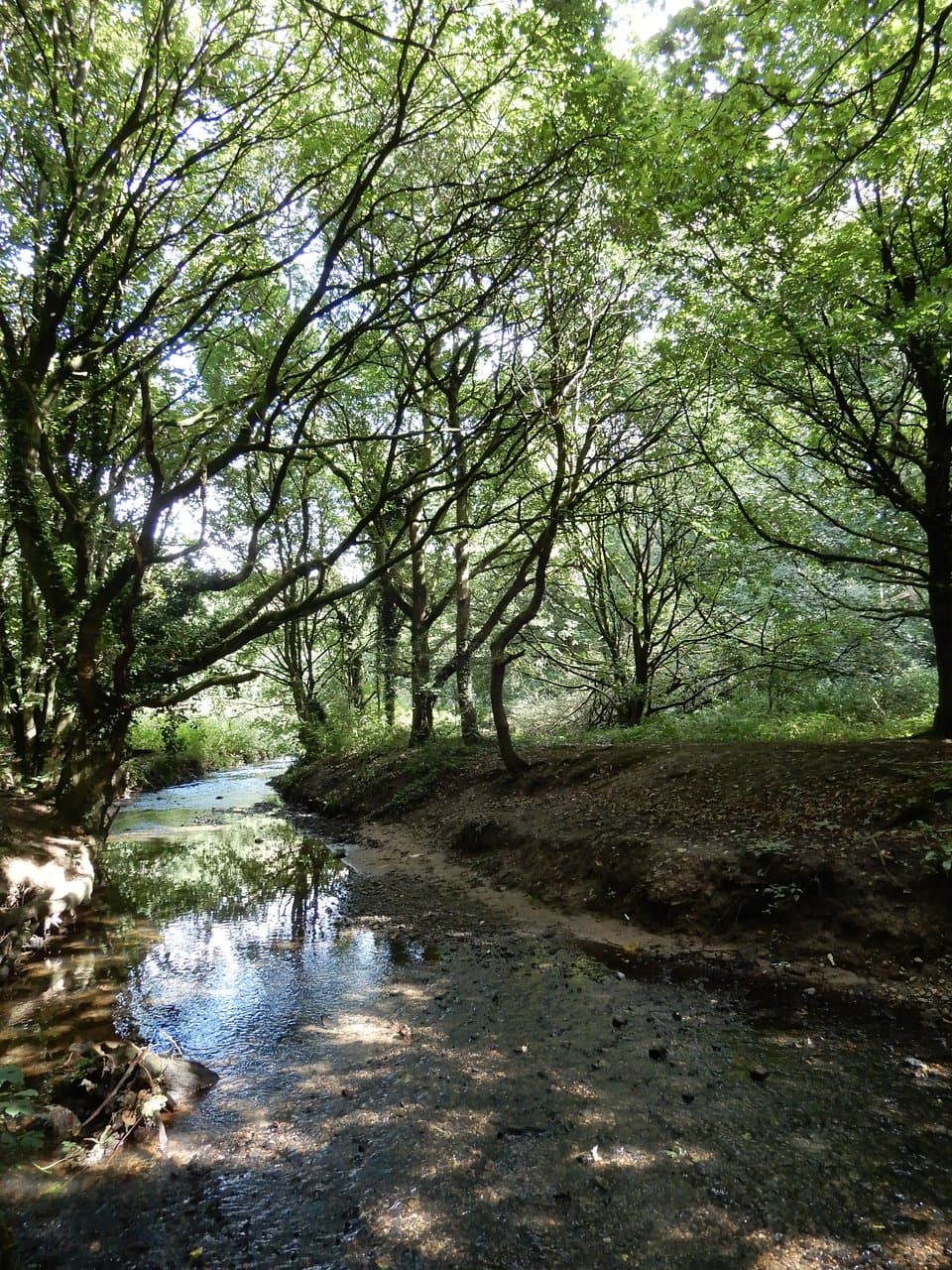 Rivacre Walk.