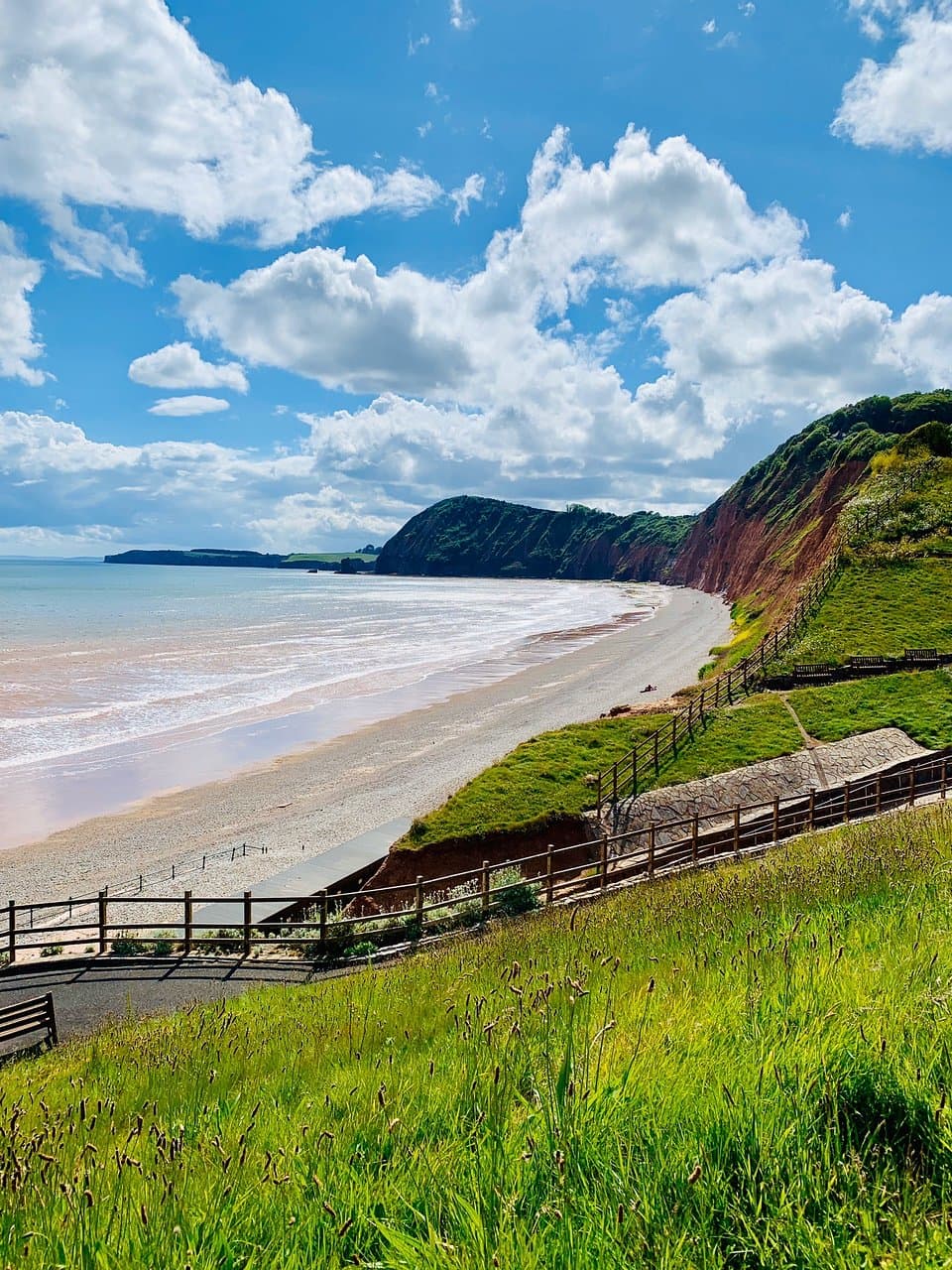 Sidmouth Arboretum Tree Trail