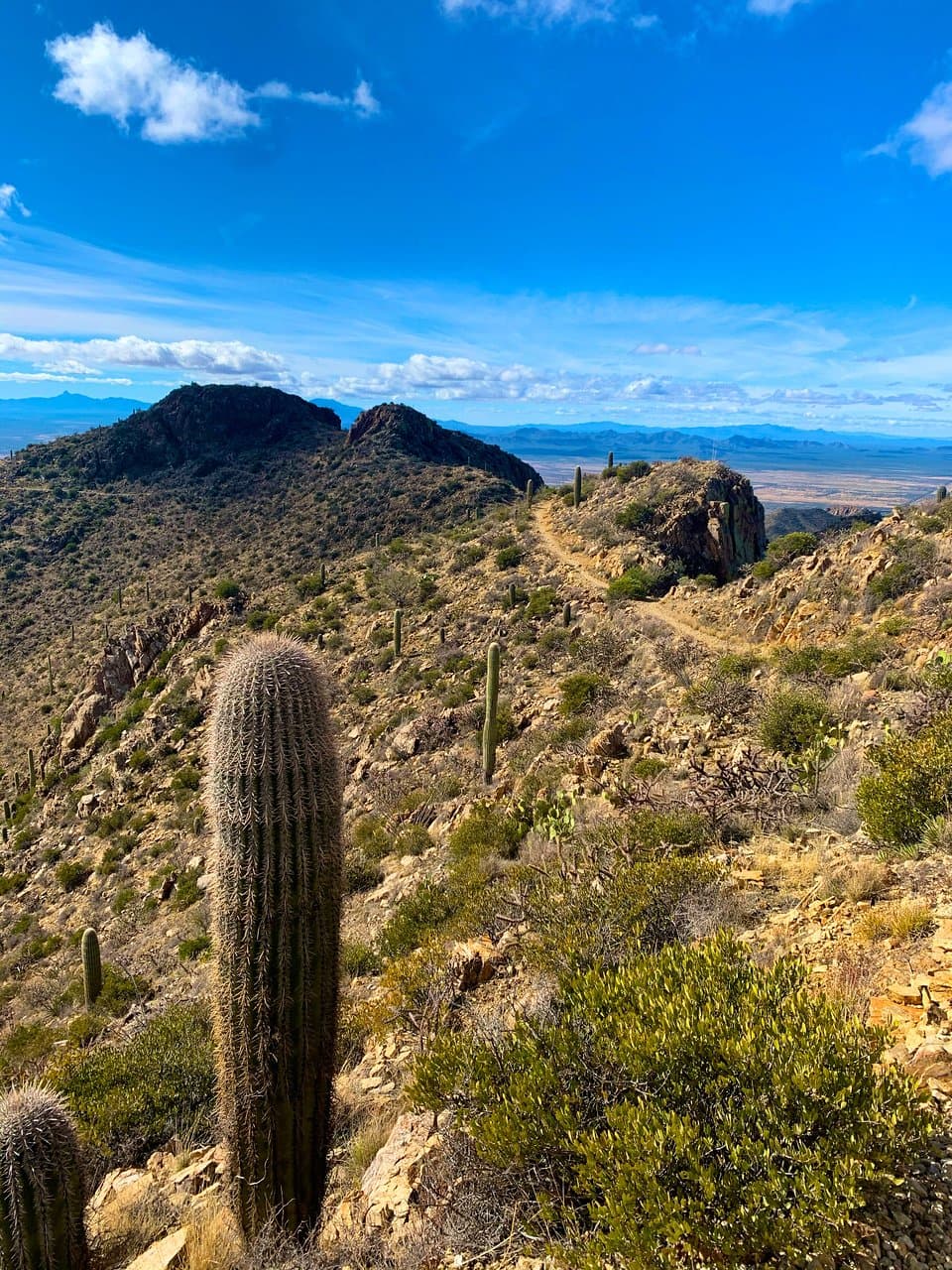 Gorgeous views!