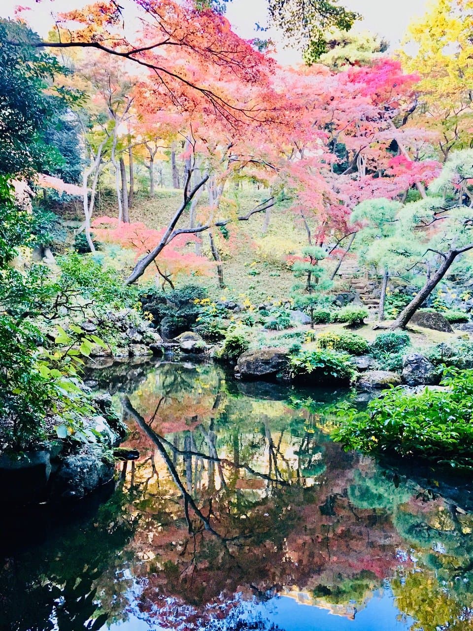 Tonogayato Garden