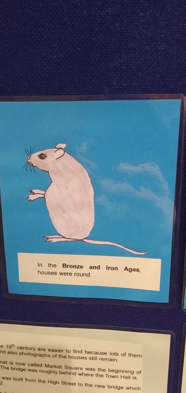 The mouse represents useful facts.