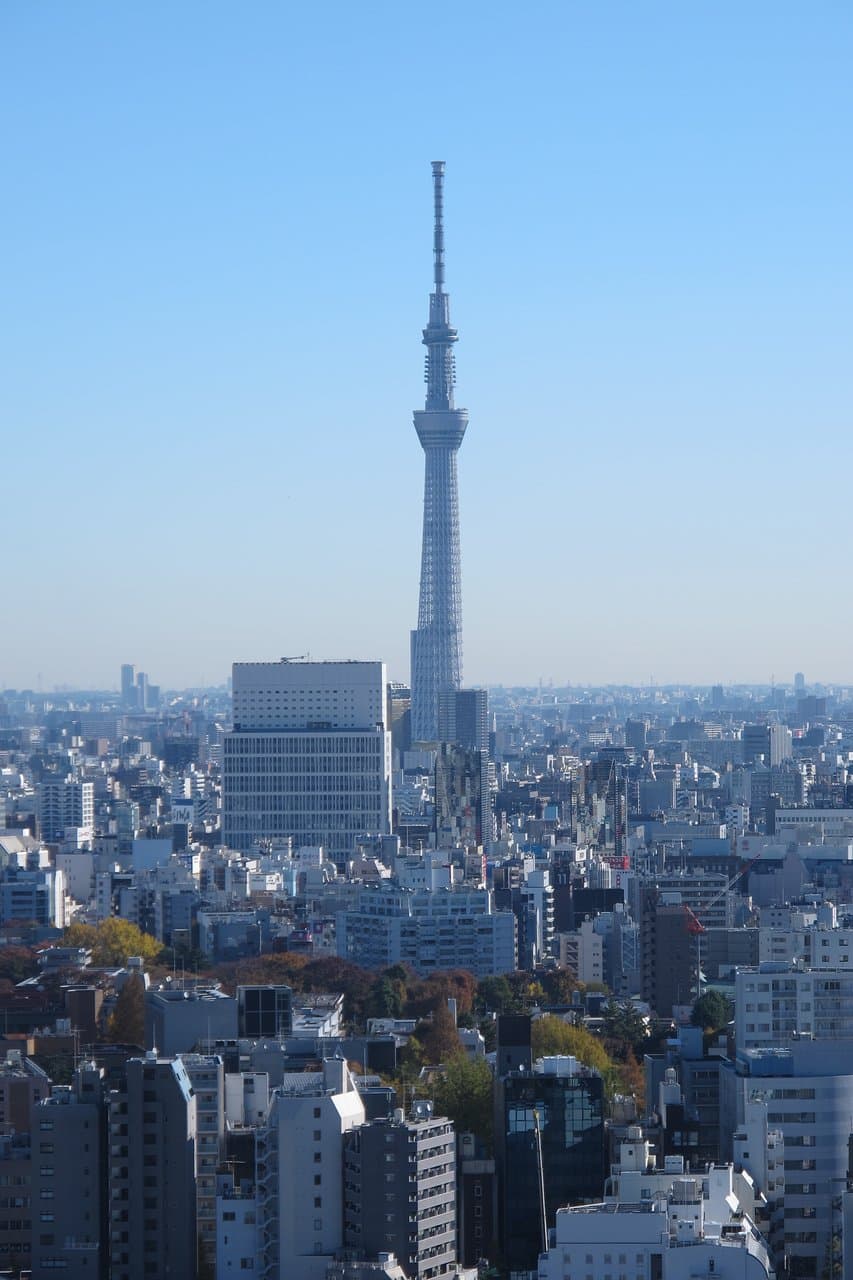 Skytree