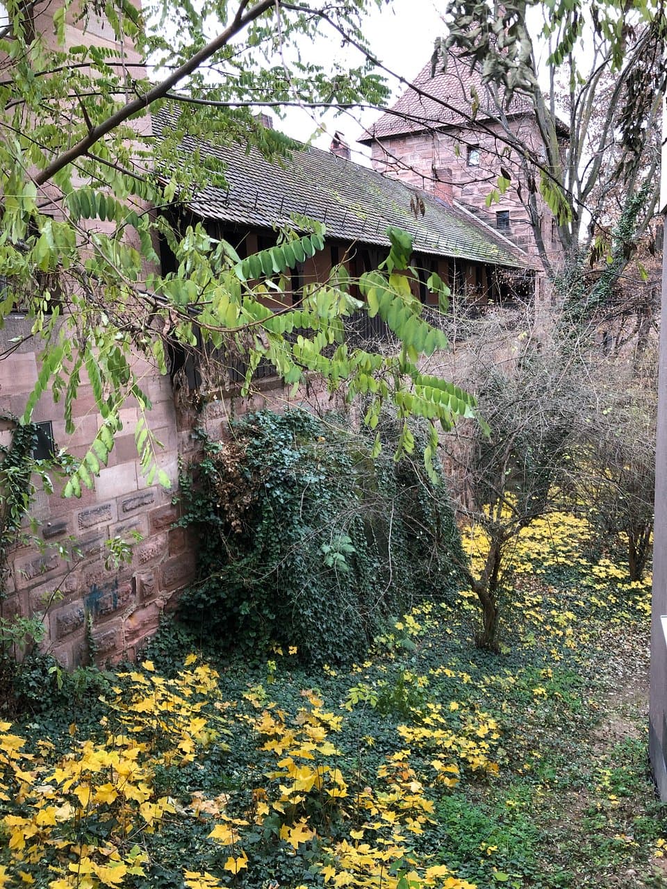 Turmdersinne in Nuremburg (3)