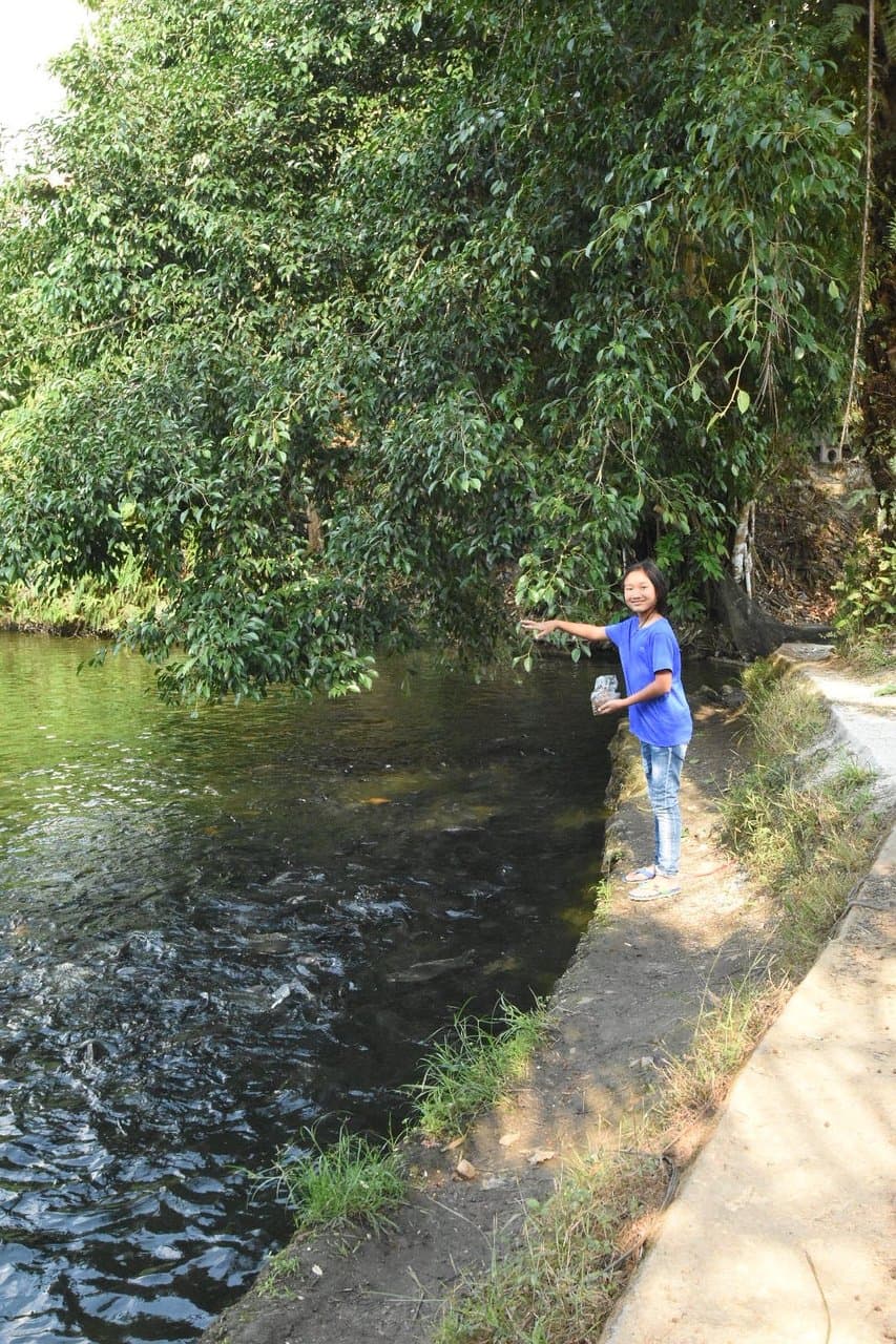 Ranong Canyon