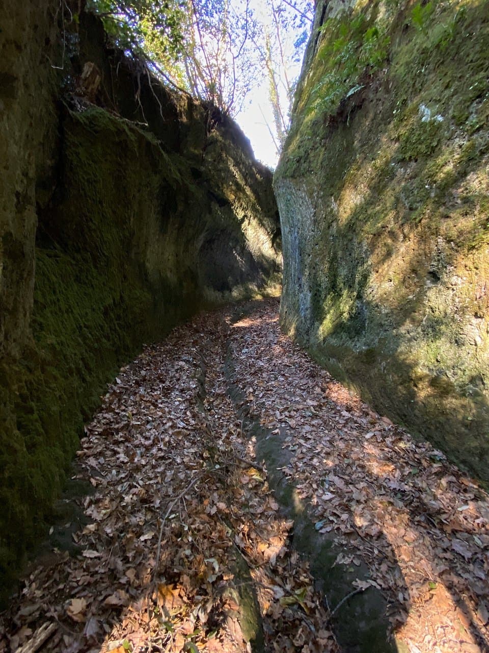 Vie Cave Etruscan Paths