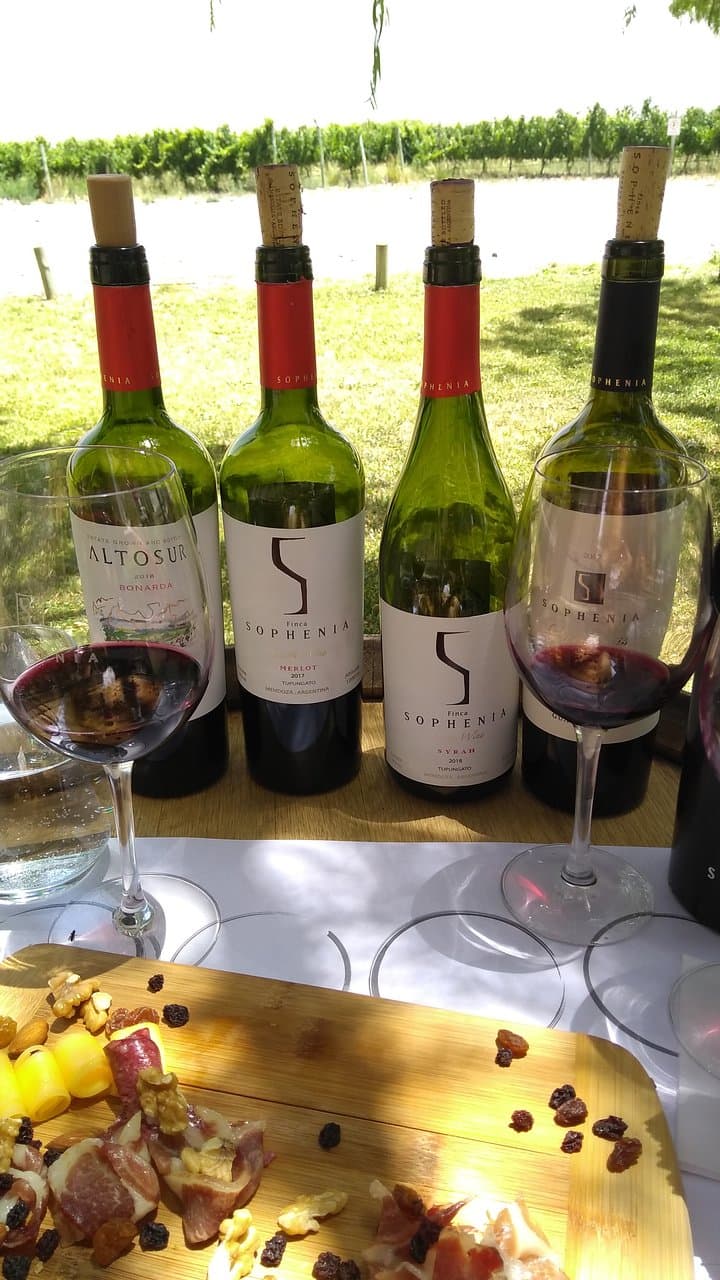 Finca Sophenia