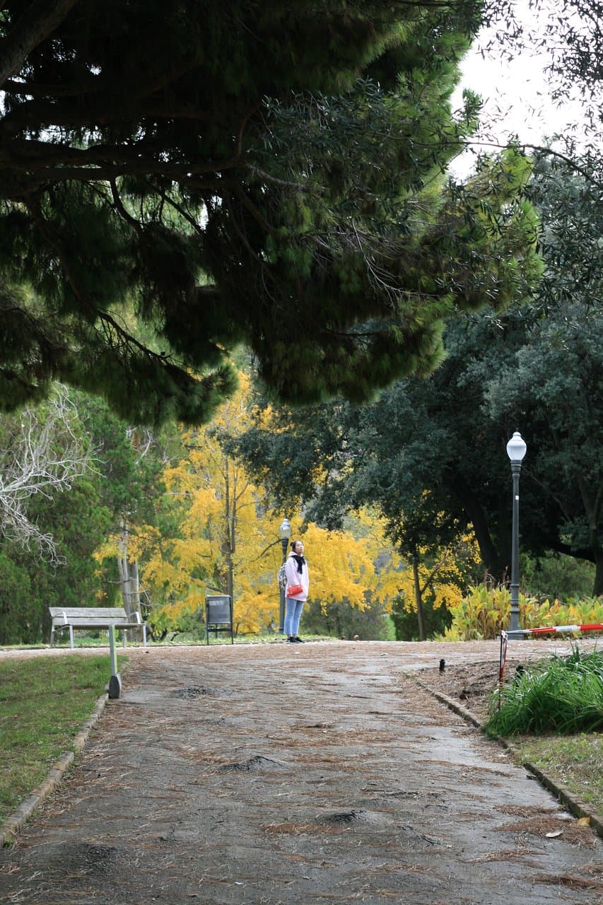 Jardins de Joan Brossa