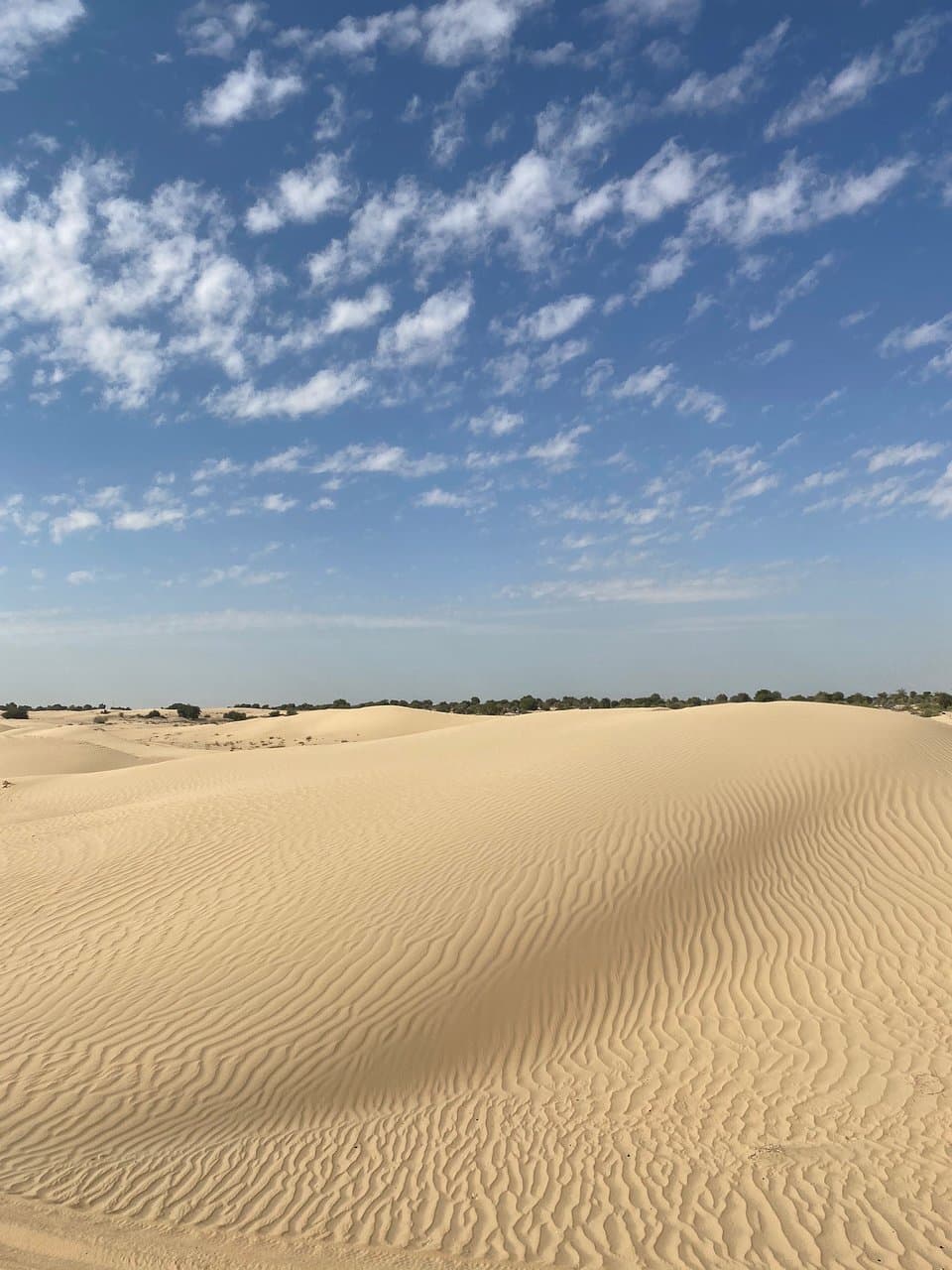 Al Qudra Cycling Path