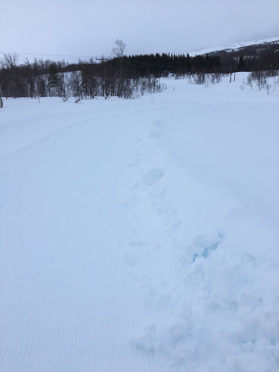 Sjunkhatten nasjonalpark