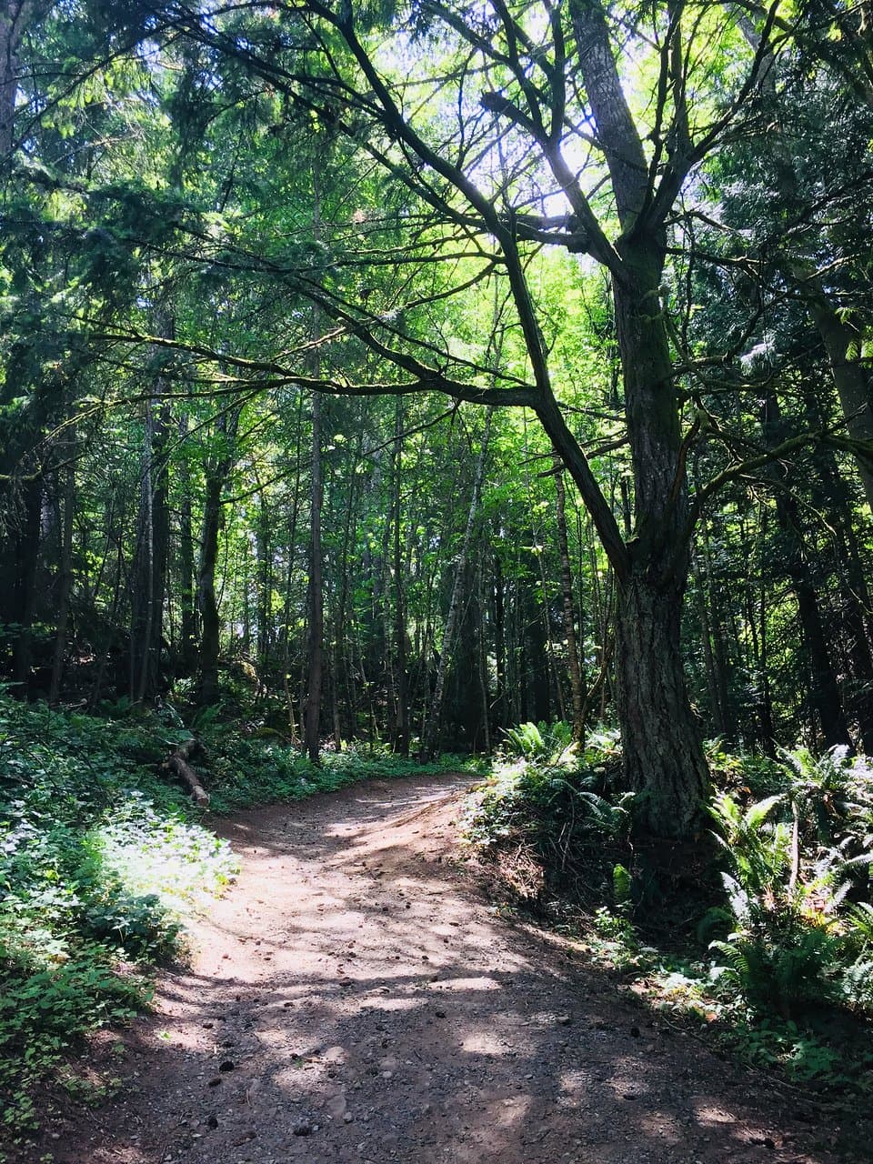 Mount Benson Regional Park
