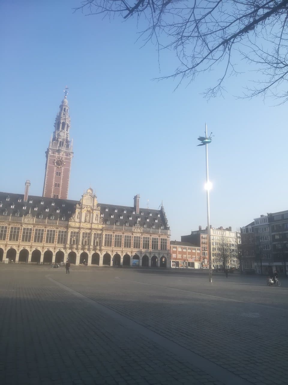 Je kan er niet naast kijken