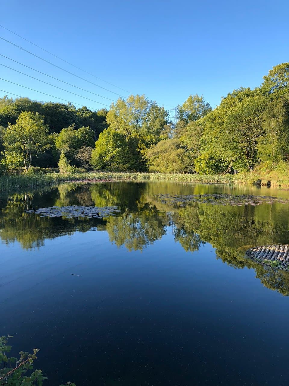 Prestwich Forest Park