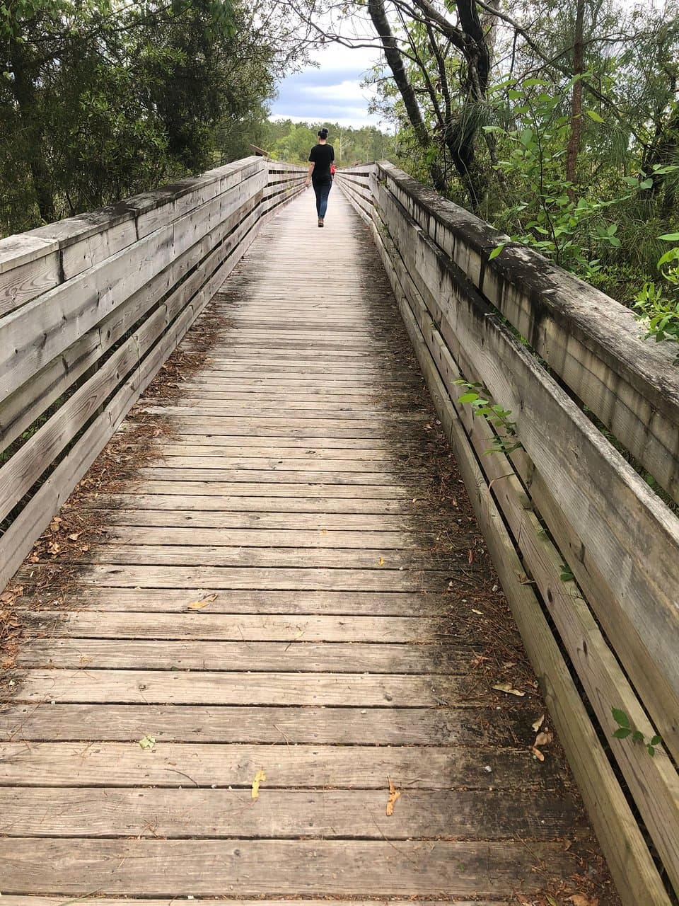 A boardwalk out to the river.