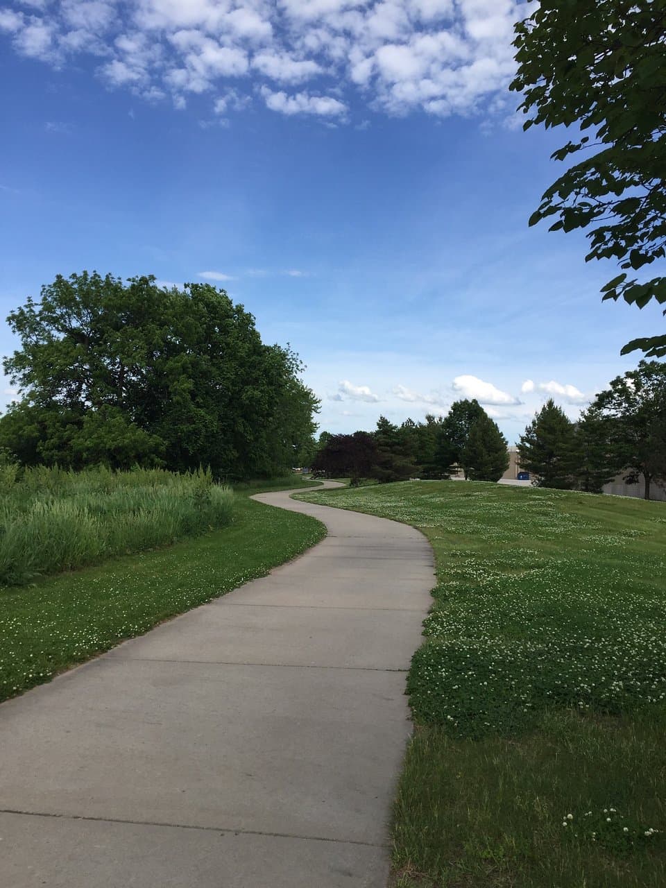 A sinuous section of trail