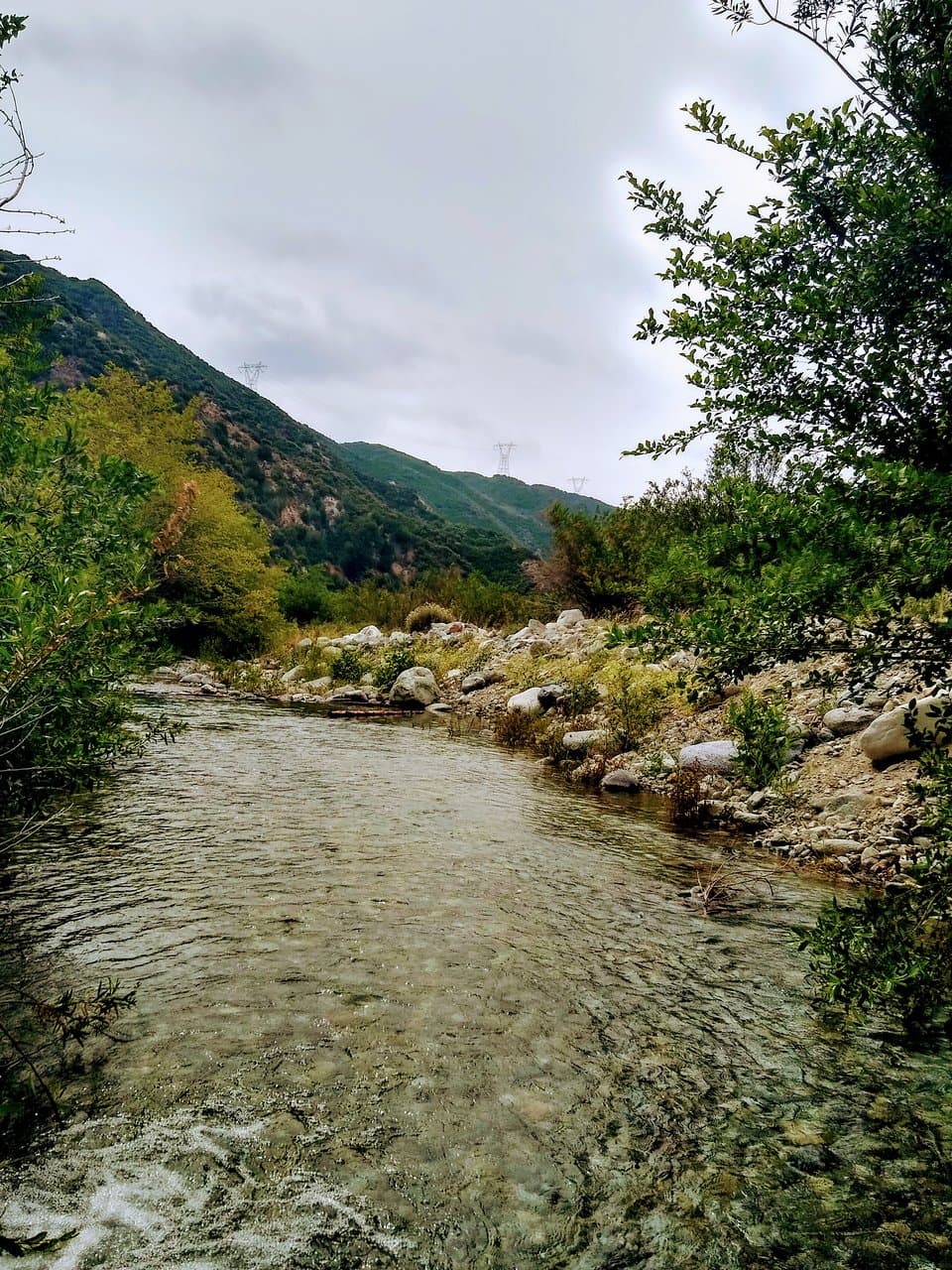 Lyle Cherry Orchard Trail