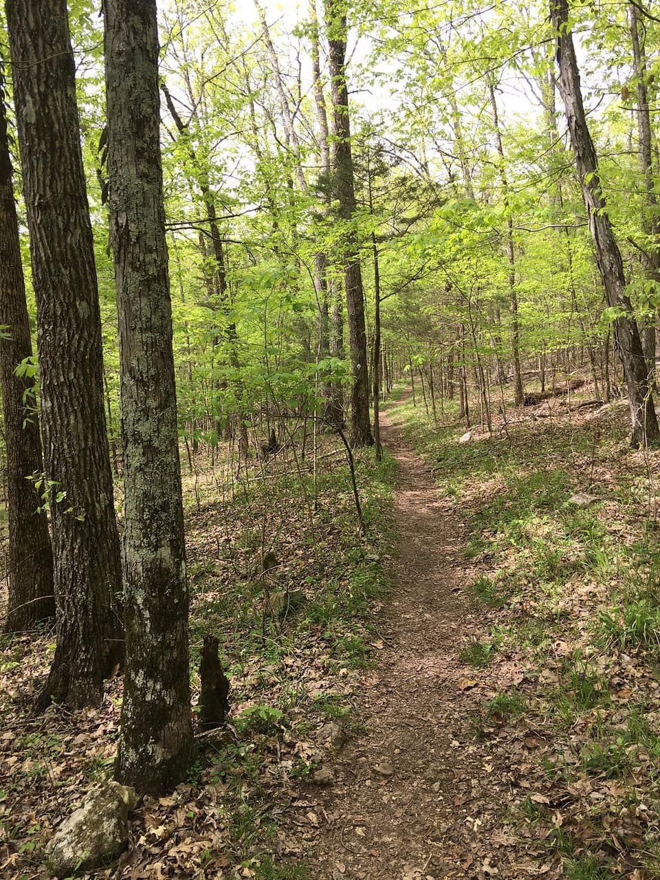 trail