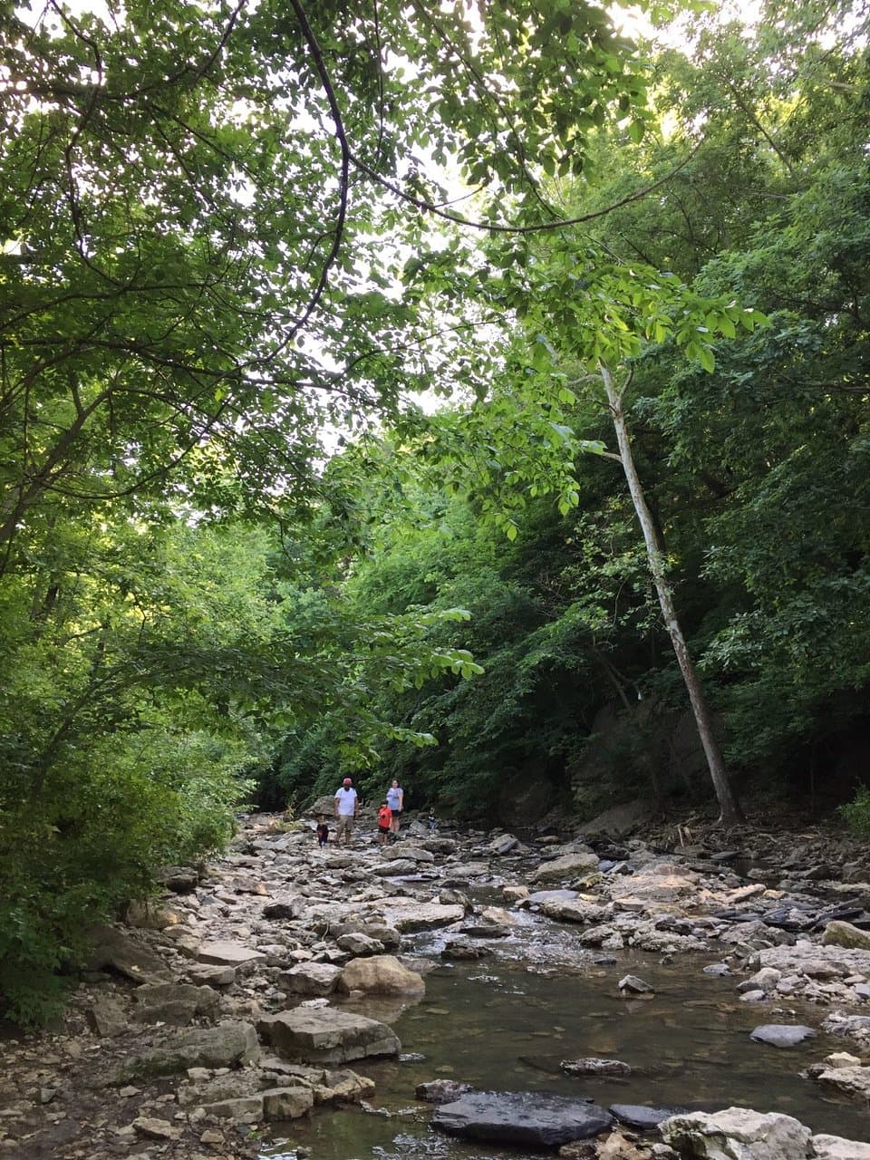 View of Cedar Creek