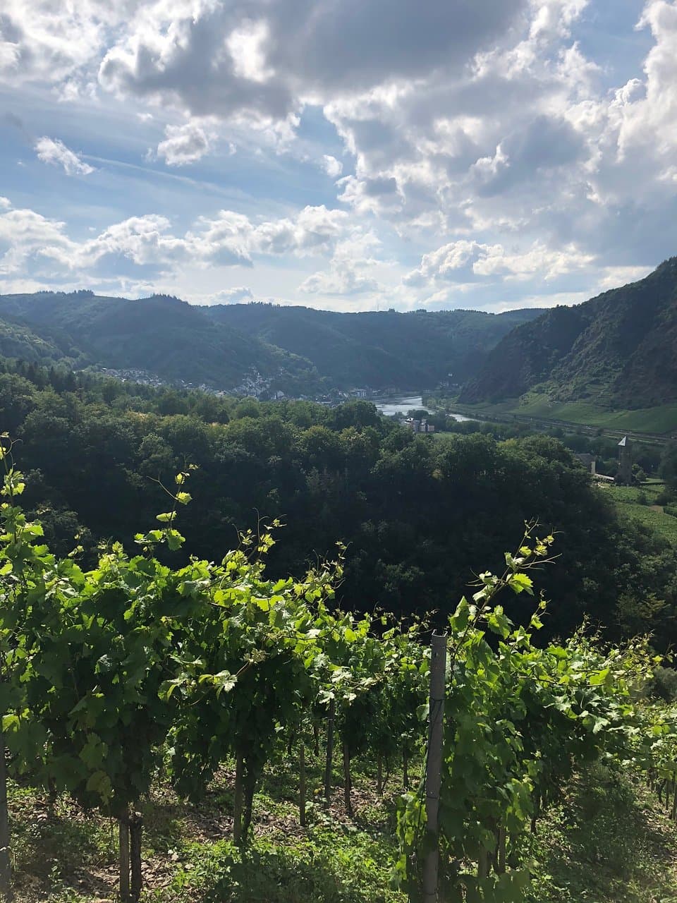Ebernach Monastery and Winery