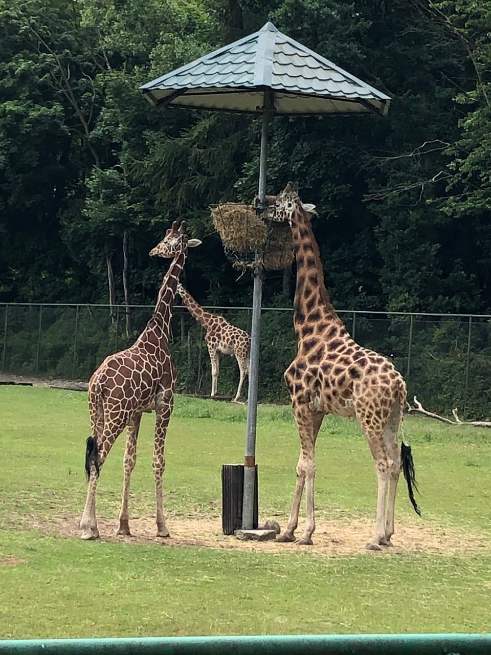 Gdańsk Zoo