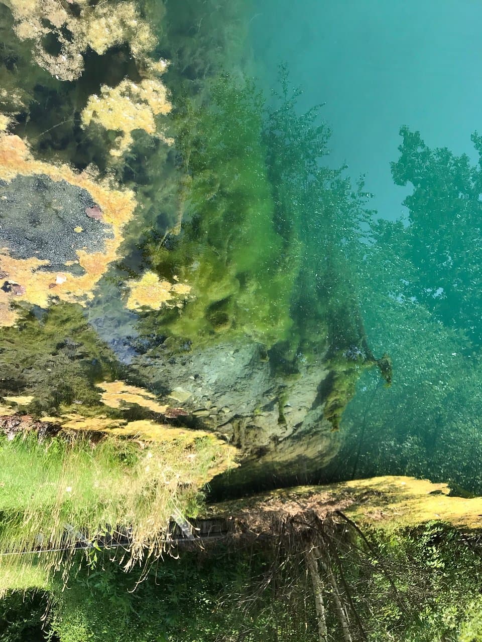 Castalia State Fish Hatchery